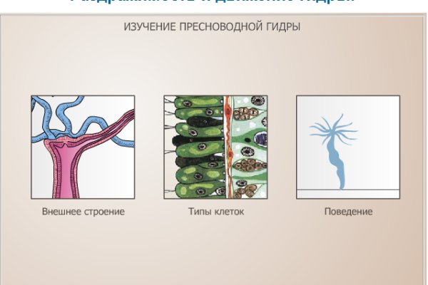 Kraken darknet зеркала кракен обход