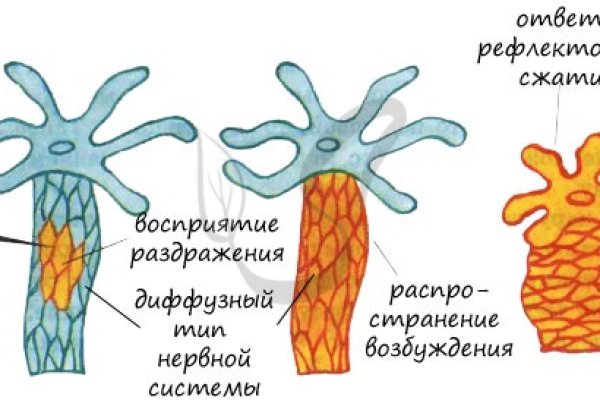 Кракен официальный сайт онион