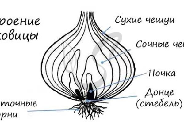 Кракен зеркало рабочее на сегодня